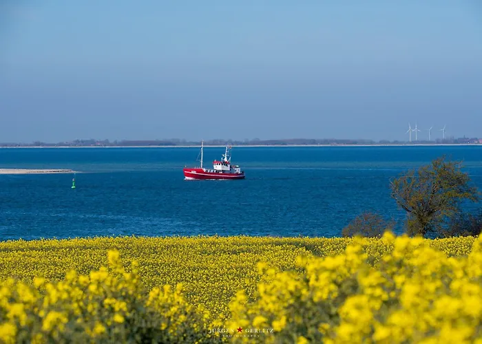 Appartement Captain Barbossa *